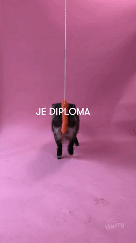 GIF by scholieren