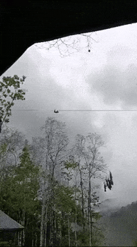 Costa Rica Sloth GIF by Kern River Outfitters