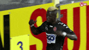 Goal Celebrating GIF by KV Kortrijk