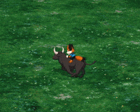 Crypto Ridding GIF by Foxy
