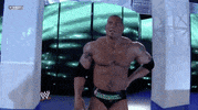 wrestlemania xxiv wrestling GIF by WWE