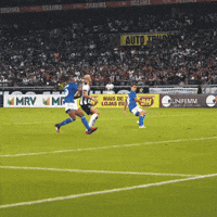 Galo GIF