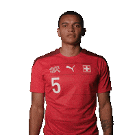 Manuel Akanji Fun Sticker by Swiss Football Association