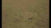 StephanieQuayle music video country music cowboy lyrics GIF