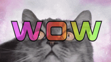 Oh My God Wow GIF by Holler Studios