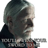 A Knight Of The Seven Kingdoms Sword Sticker by Game of Thrones