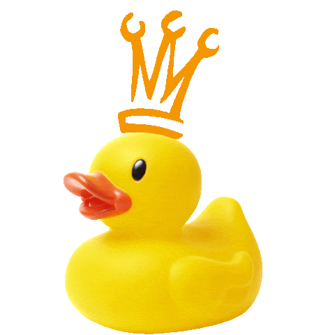 Ovr Badeend Sticker by ovrijnsburg