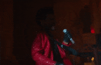 Save Your Tears GIF by The Weeknd