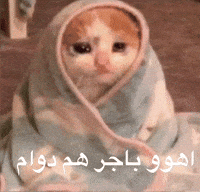 Irq 9Mc GIF by Bashar