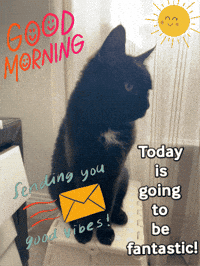 Good Morning Cat GIF
