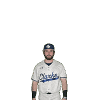 Clarke Baseball Sticker by Clarke University