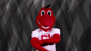 oh yeah dragons GIF by Minnesota State University Moorhead