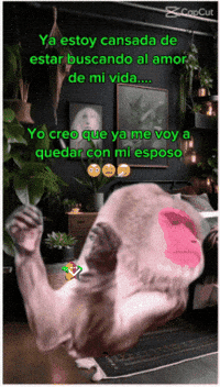 Buscando De Mi Vida GIF by Murcianys LLC