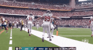 Houston Texans Football GIF by NFL