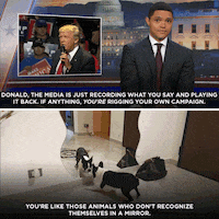 GIF by The Daily Show with Trevor Noah