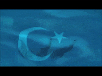 Faragalnemr GIF