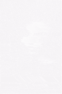 Quote GIF by Positive Programming