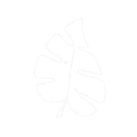 Monstera Deliciosa Summer Sticker