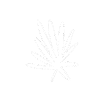 Palm Leaf Plants Sticker