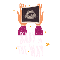 Novalac_prenatal baby pregnant pregnancy expecting Sticker