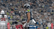 National Football League GIF by NFL