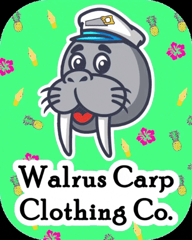 WalrusCarp giphygifmaker walrus walruscarp walrus carp GIF
