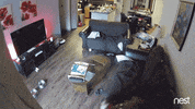 jumping let's play GIF by Nest