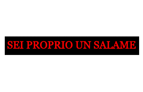 Hamburger Salame Sticker by Sap salumi