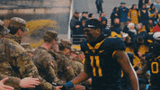 West Virginia Sport GIF by WVU Sports