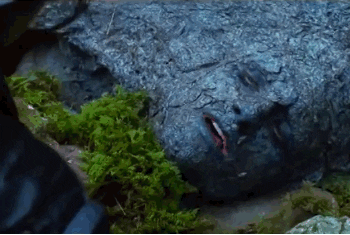 peeta mellark GIF