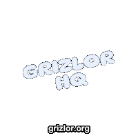 Fun Bear Sticker by grizlor