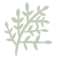 七夕 Sticker by fuwakuma.yuco