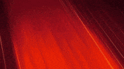 Angry Dog GIF by Taffy
