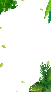 Flower Frame Sticker by Palmolive Naturals