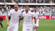 santos fc GIF by Santos Futebol Clube