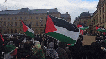 Pro-Palestine Supporters March in Northern France