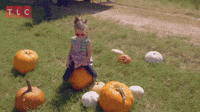 That Big Pumpkin?