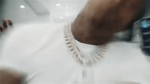 Said Sum GIF by Moneybagg Yo