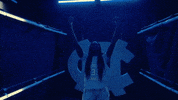 North Carolina GIF by UNC Tar Heels