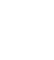 Skull Fredericksburg Sticker by Slate Theory Winery