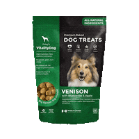 Dogs Puppy Sticker by Foley Dog Treat Company