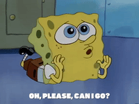 season 1 sandy's rocket GIF by SpongeBob SquarePants