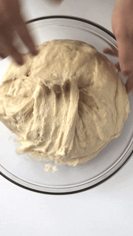 murmursofricotta giphyupload GIF