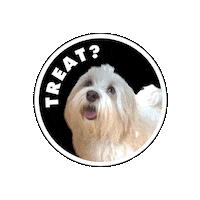 Ro Ollie Sticker by SKT