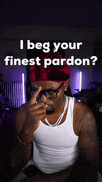Excuse Me I Beg Your Pardon GIF