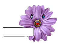 Miss You Love Sticker by BIMBA Y LOLA