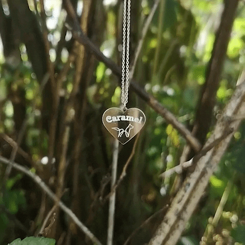 Dogwearstore giphygifmaker gold personalized rosegold GIF