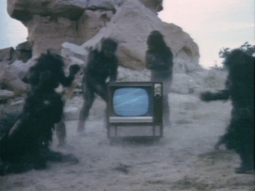 the groove tube television GIF