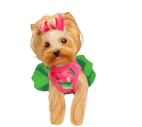 Dog Sticker
