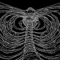 black and white halloween GIF by Pi-Slices